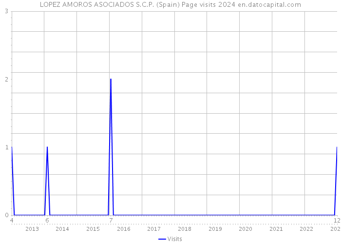 LOPEZ AMOROS ASOCIADOS S.C.P. (Spain) Page visits 2024 