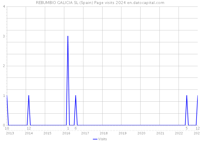 REBUMBIO GALICIA SL (Spain) Page visits 2024 