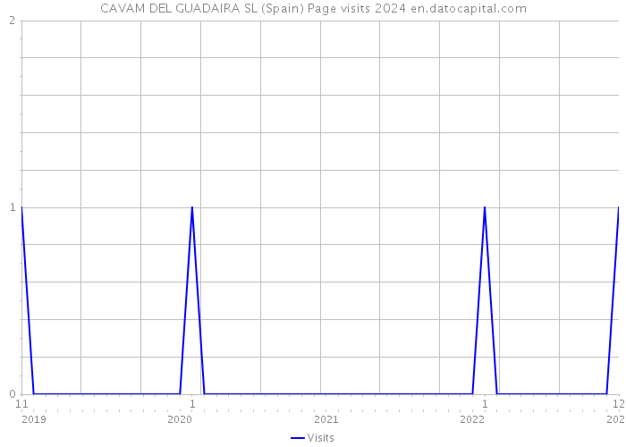 CAVAM DEL GUADAIRA SL (Spain) Page visits 2024 
