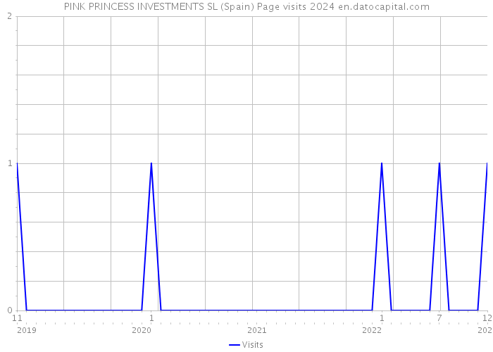 PINK PRINCESS INVESTMENTS SL (Spain) Page visits 2024 