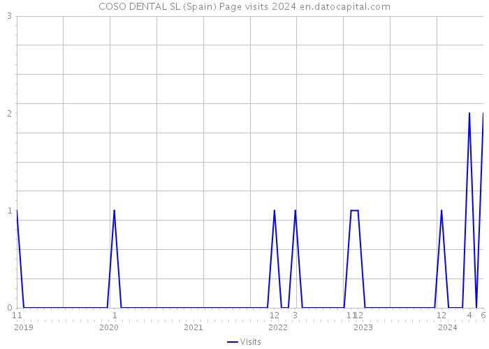 COSO DENTAL SL (Spain) Page visits 2024 