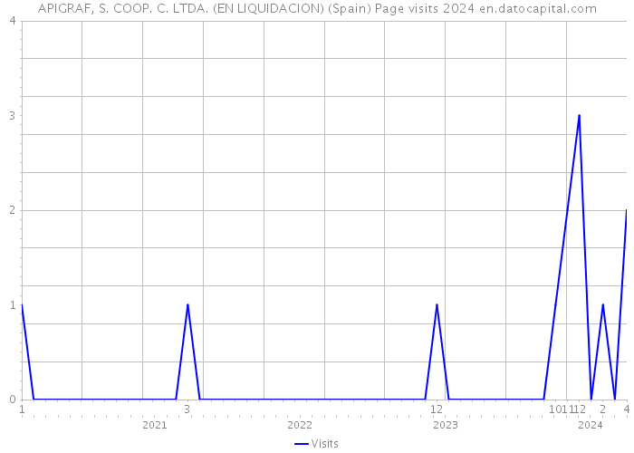 APIGRAF, S. COOP. C. LTDA. (EN LIQUIDACION) (Spain) Page visits 2024 