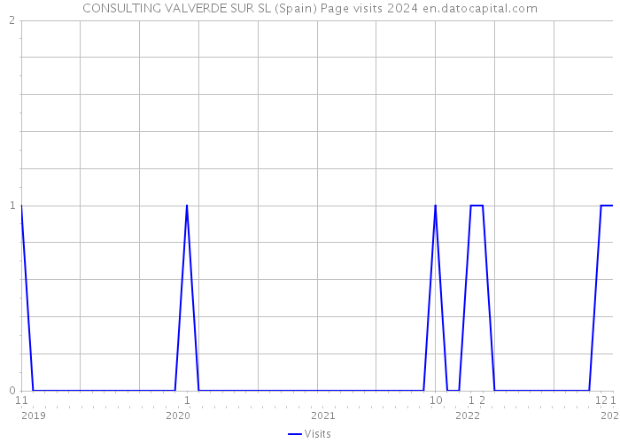 CONSULTING VALVERDE SUR SL (Spain) Page visits 2024 