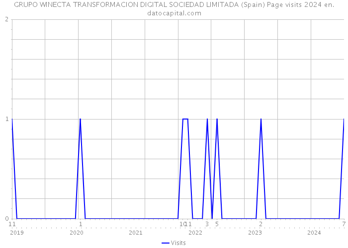 GRUPO WINECTA TRANSFORMACION DIGITAL SOCIEDAD LIMITADA (Spain) Page visits 2024 