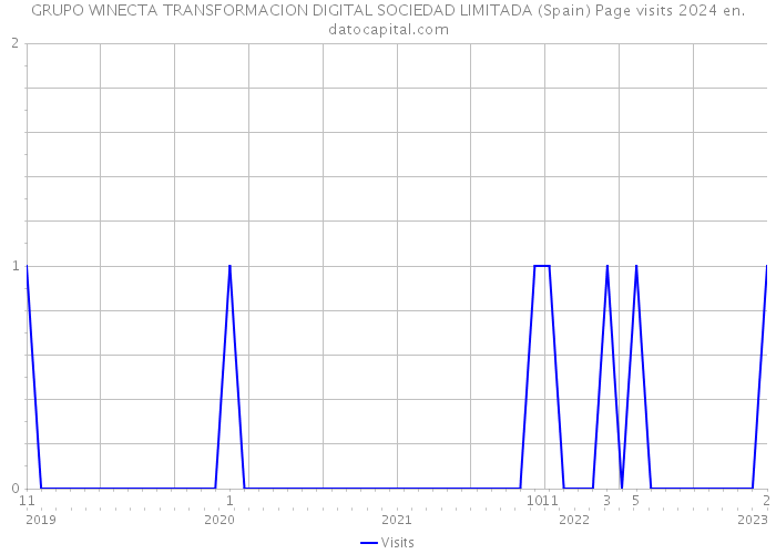 GRUPO WINECTA TRANSFORMACION DIGITAL SOCIEDAD LIMITADA (Spain) Page visits 2024 