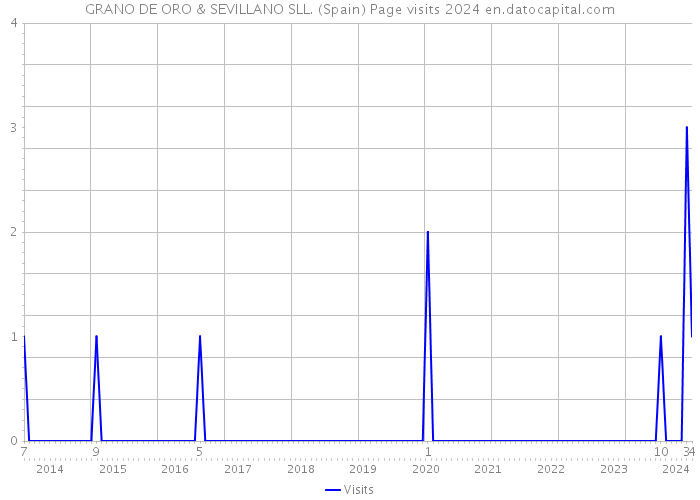 GRANO DE ORO & SEVILLANO SLL. (Spain) Page visits 2024 