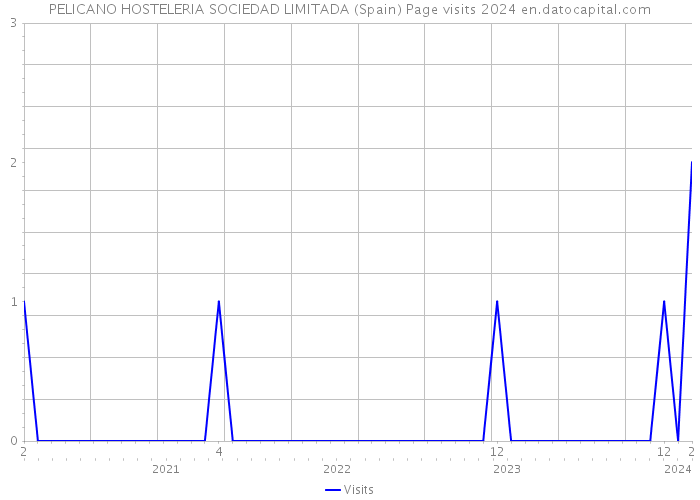 PELICANO HOSTELERIA SOCIEDAD LIMITADA (Spain) Page visits 2024 