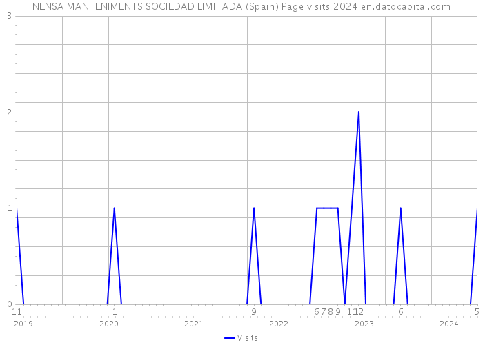 NENSA MANTENIMENTS SOCIEDAD LIMITADA (Spain) Page visits 2024 