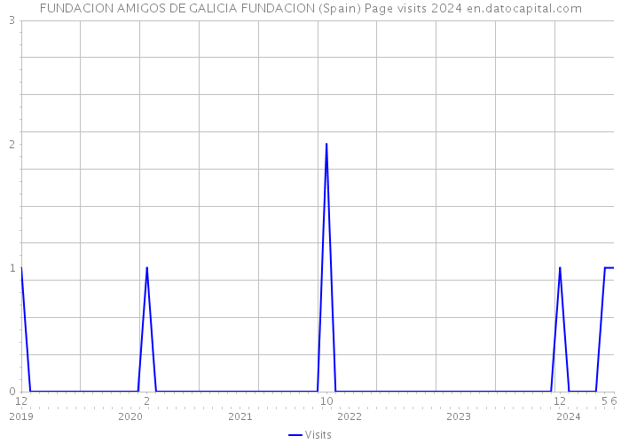 FUNDACION AMIGOS DE GALICIA FUNDACION (Spain) Page visits 2024 