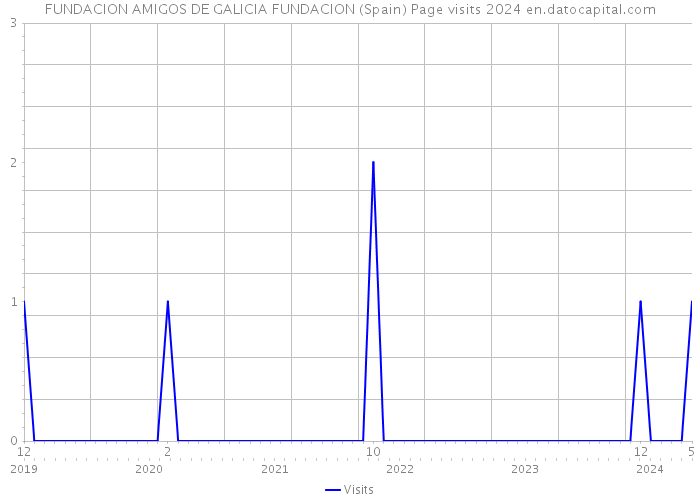 FUNDACION AMIGOS DE GALICIA FUNDACION (Spain) Page visits 2024 