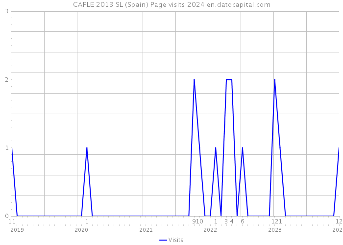 CAPLE 2013 SL (Spain) Page visits 2024 