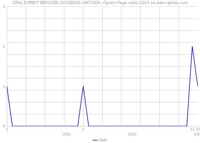 OPAL EXPERT SERVICES, SOCIEDAD LIMITADA. (Spain) Page visits 2024 