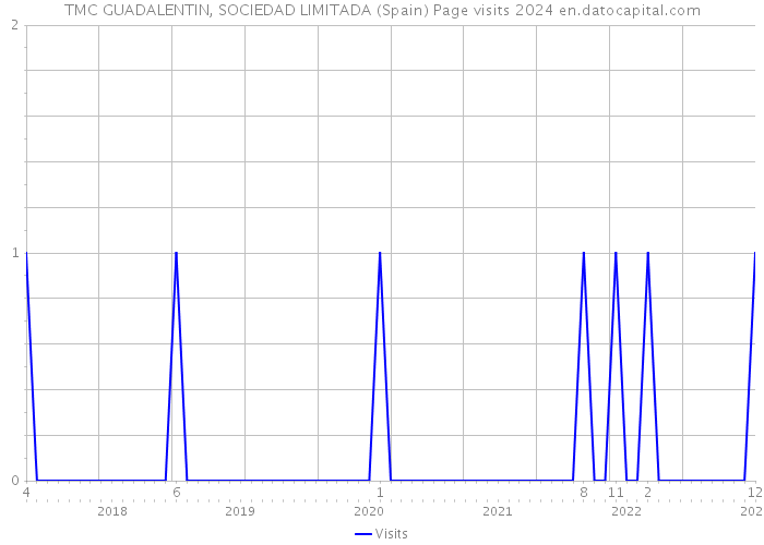 TMC GUADALENTIN, SOCIEDAD LIMITADA (Spain) Page visits 2024 