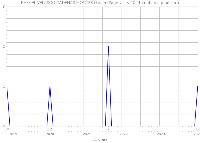 RAFAEL VELASCO CADENAS MONTES (Spain) Page visits 2024 