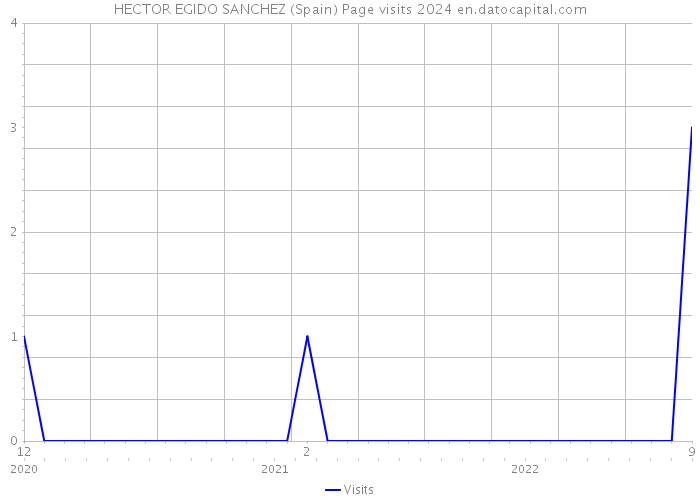 HECTOR EGIDO SANCHEZ (Spain) Page visits 2024 