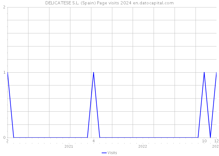 DELICATESE S.L. (Spain) Page visits 2024 