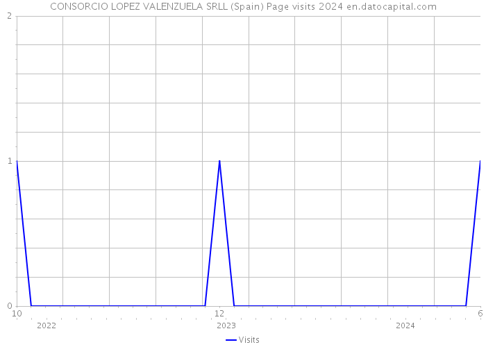 CONSORCIO LOPEZ VALENZUELA SRLL (Spain) Page visits 2024 