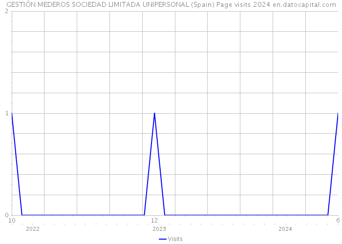 GESTIÓN MEDEROS SOCIEDAD LIMITADA UNIPERSONAL (Spain) Page visits 2024 