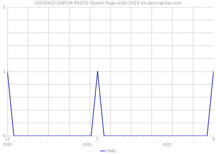 GONZALO GARCIA PAZOS (Spain) Page visits 2024 
