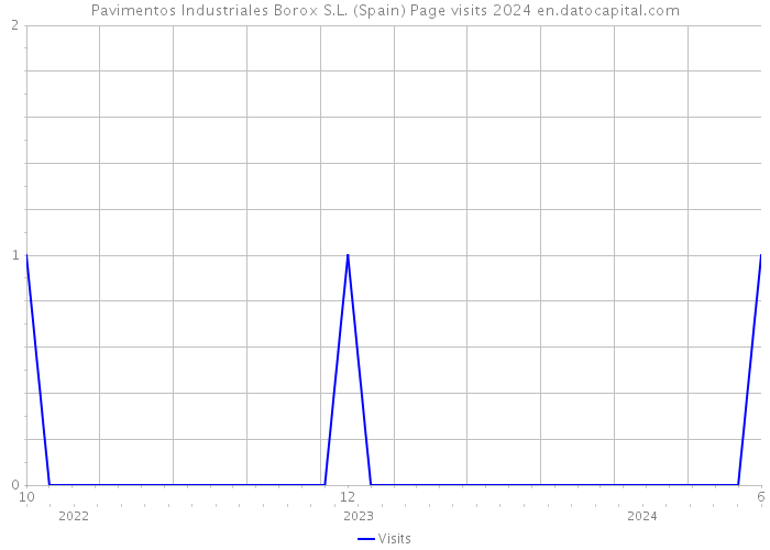 Pavimentos Industriales Borox S.L. (Spain) Page visits 2024 