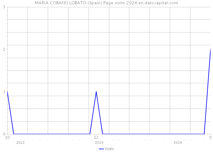 MARIA COBANO LOBATO (Spain) Page visits 2024 