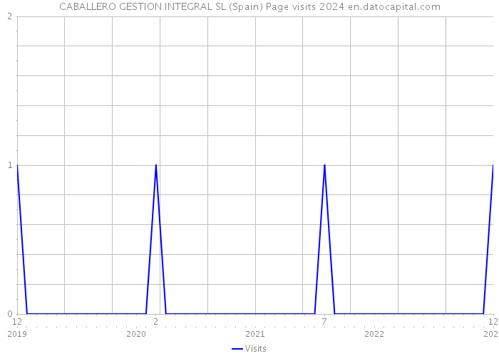 CABALLERO GESTION INTEGRAL SL (Spain) Page visits 2024 