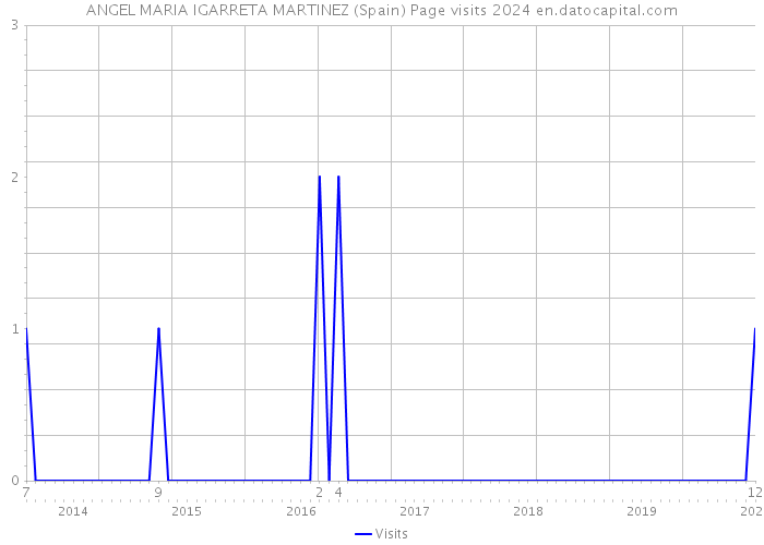 ANGEL MARIA IGARRETA MARTINEZ (Spain) Page visits 2024 