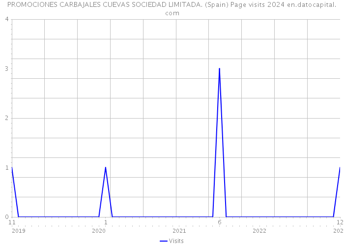 PROMOCIONES CARBAJALES CUEVAS SOCIEDAD LIMITADA. (Spain) Page visits 2024 