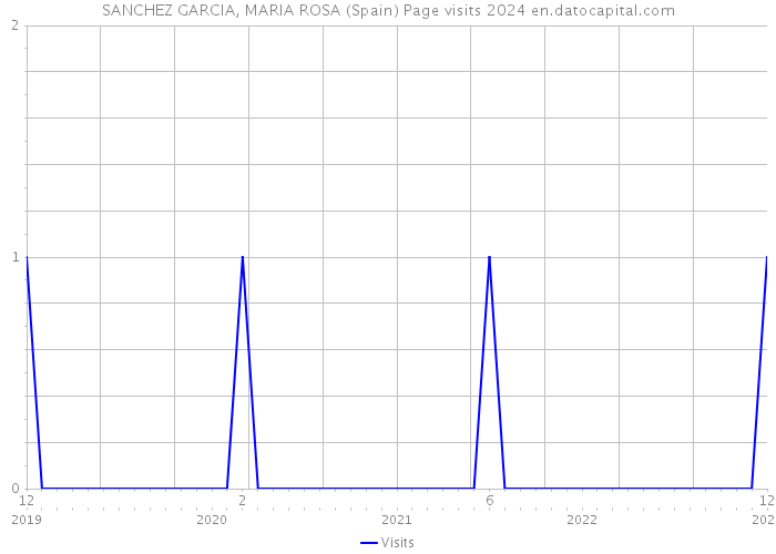 SANCHEZ GARCIA, MARIA ROSA (Spain) Page visits 2024 