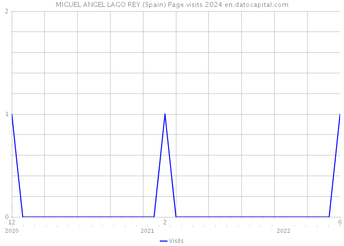 MIGUEL ANGEL LAGO REY (Spain) Page visits 2024 