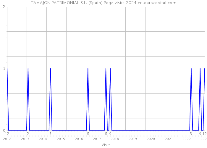 TAMAJON PATRIMONIAL S.L. (Spain) Page visits 2024 