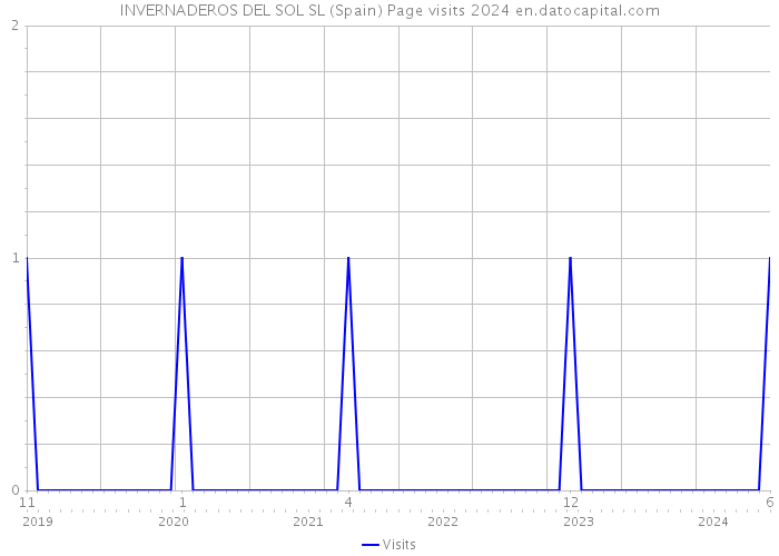 INVERNADEROS DEL SOL SL (Spain) Page visits 2024 