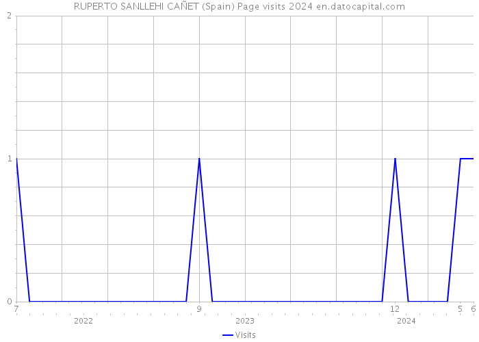RUPERTO SANLLEHI CAÑET (Spain) Page visits 2024 