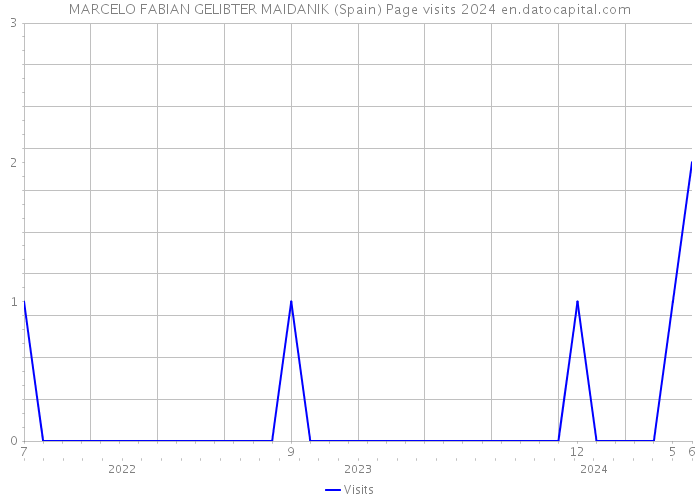 MARCELO FABIAN GELIBTER MAIDANIK (Spain) Page visits 2024 