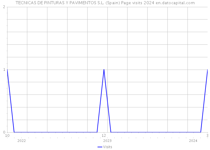 TECNICAS DE PINTURAS Y PAVIMENTOS S.L. (Spain) Page visits 2024 
