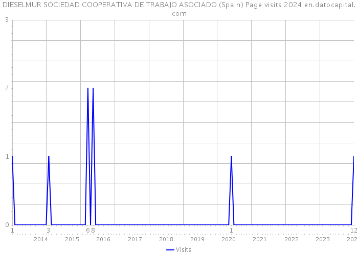 DIESELMUR SOCIEDAD COOPERATIVA DE TRABAJO ASOCIADO (Spain) Page visits 2024 