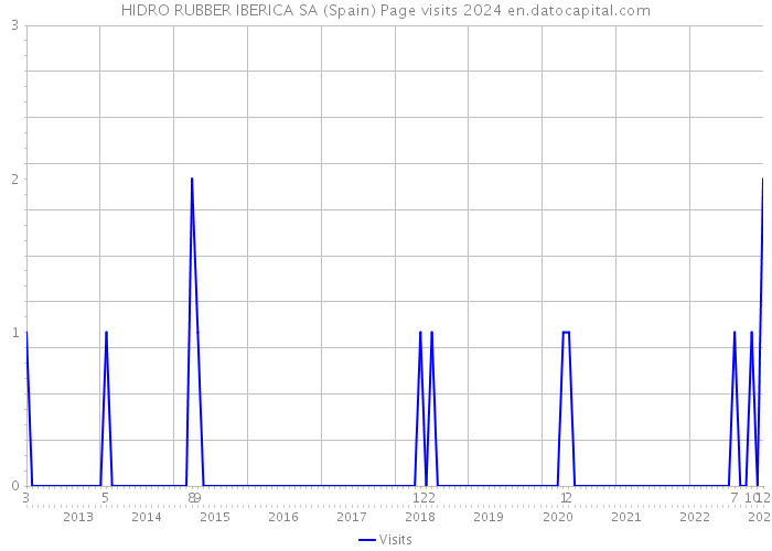 HIDRO RUBBER IBERICA SA (Spain) Page visits 2024 