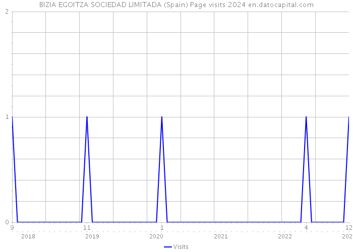 BIZIA EGOITZA SOCIEDAD LIMITADA (Spain) Page visits 2024 