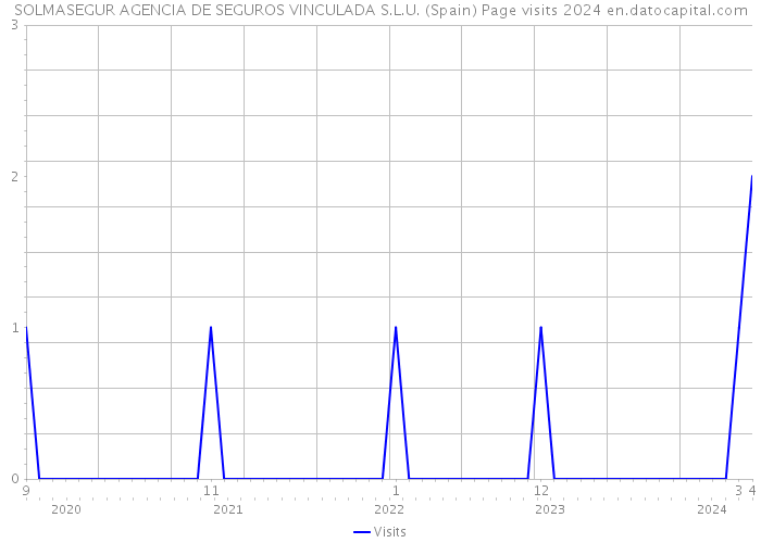 SOLMASEGUR AGENCIA DE SEGUROS VINCULADA S.L.U. (Spain) Page visits 2024 