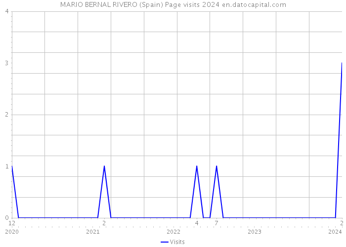 MARIO BERNAL RIVERO (Spain) Page visits 2024 