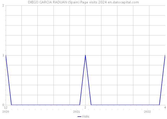 DIEGO GARCIA RADUAN (Spain) Page visits 2024 
