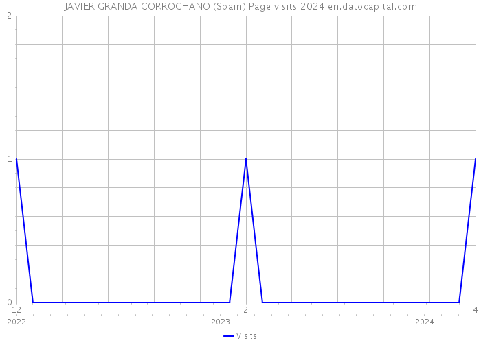 JAVIER GRANDA CORROCHANO (Spain) Page visits 2024 
