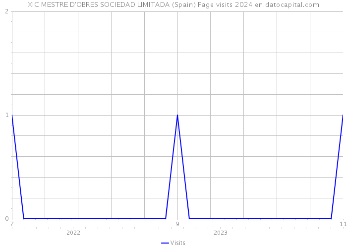 XIC MESTRE D'OBRES SOCIEDAD LIMITADA (Spain) Page visits 2024 