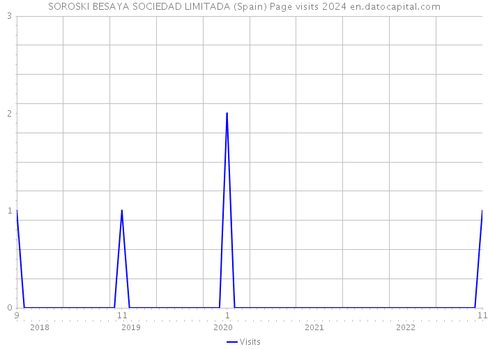 SOROSKI BESAYA SOCIEDAD LIMITADA (Spain) Page visits 2024 