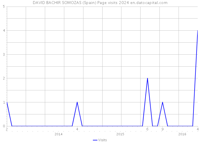 DAVID BACHIR SOMOZAS (Spain) Page visits 2024 