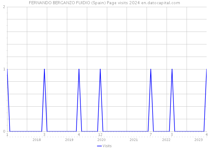 FERNANDO BERGANZO FUIDIO (Spain) Page visits 2024 