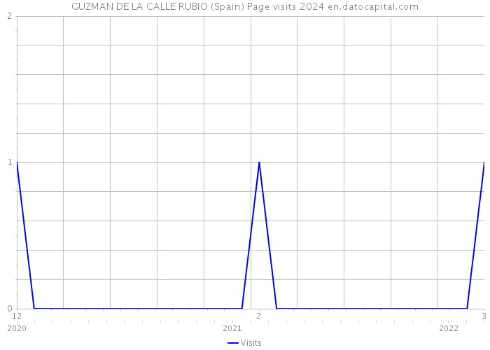 GUZMAN DE LA CALLE RUBIO (Spain) Page visits 2024 