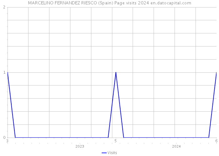 MARCELINO FERNANDEZ RIESCO (Spain) Page visits 2024 