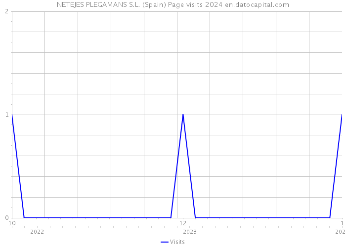 NETEJES PLEGAMANS S.L. (Spain) Page visits 2024 