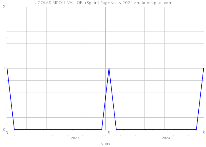 NICOLAS RIPOLL VALLORI (Spain) Page visits 2024 